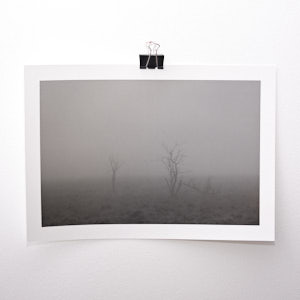 Small trees in the mist - Hohes Venn - Classic High Quality Photographic Print on Baryta Paper - Limited hand numbered edition of 100